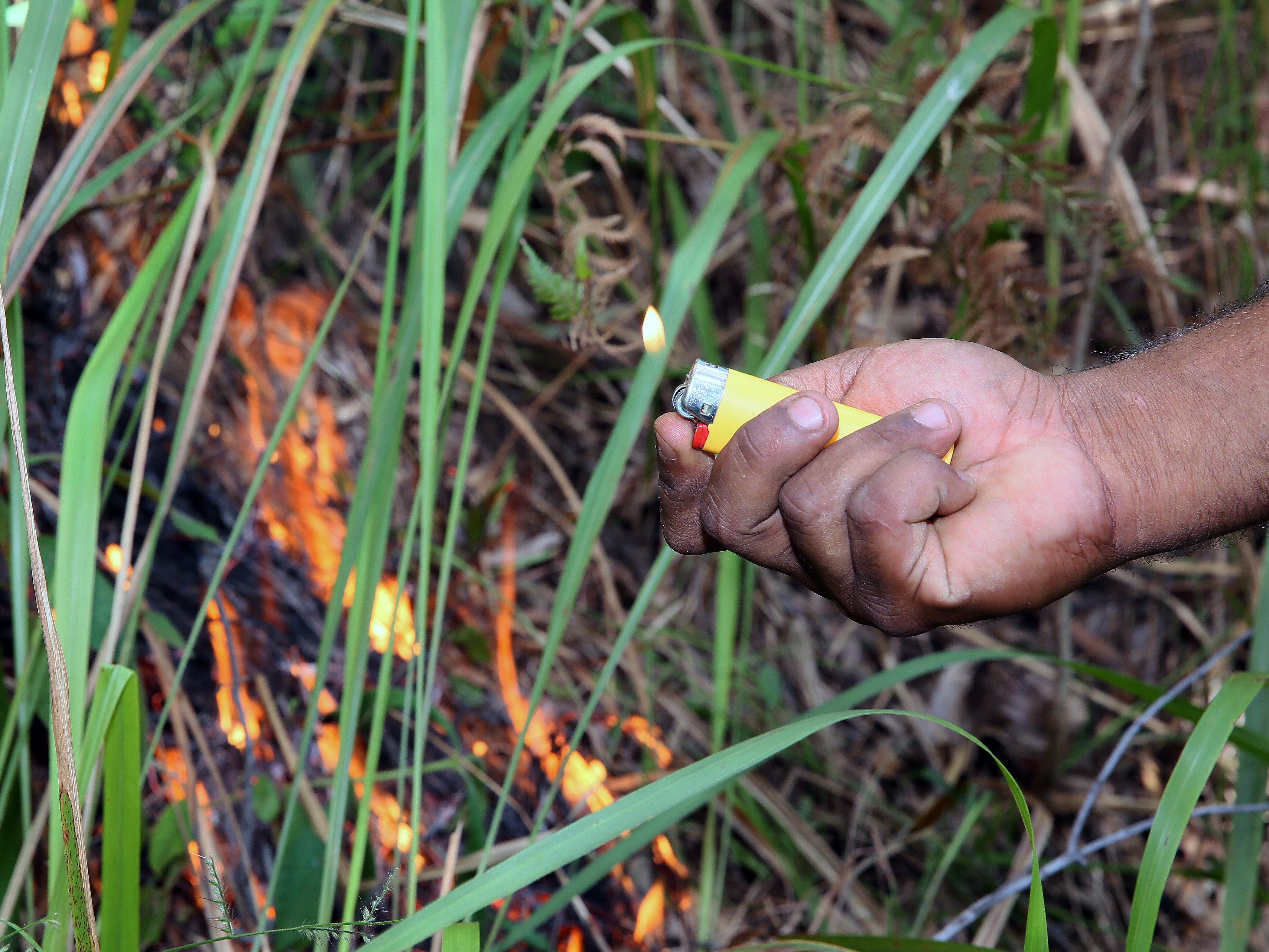 Reimagining the PostPandemic “Normal” Learning from Indigenous